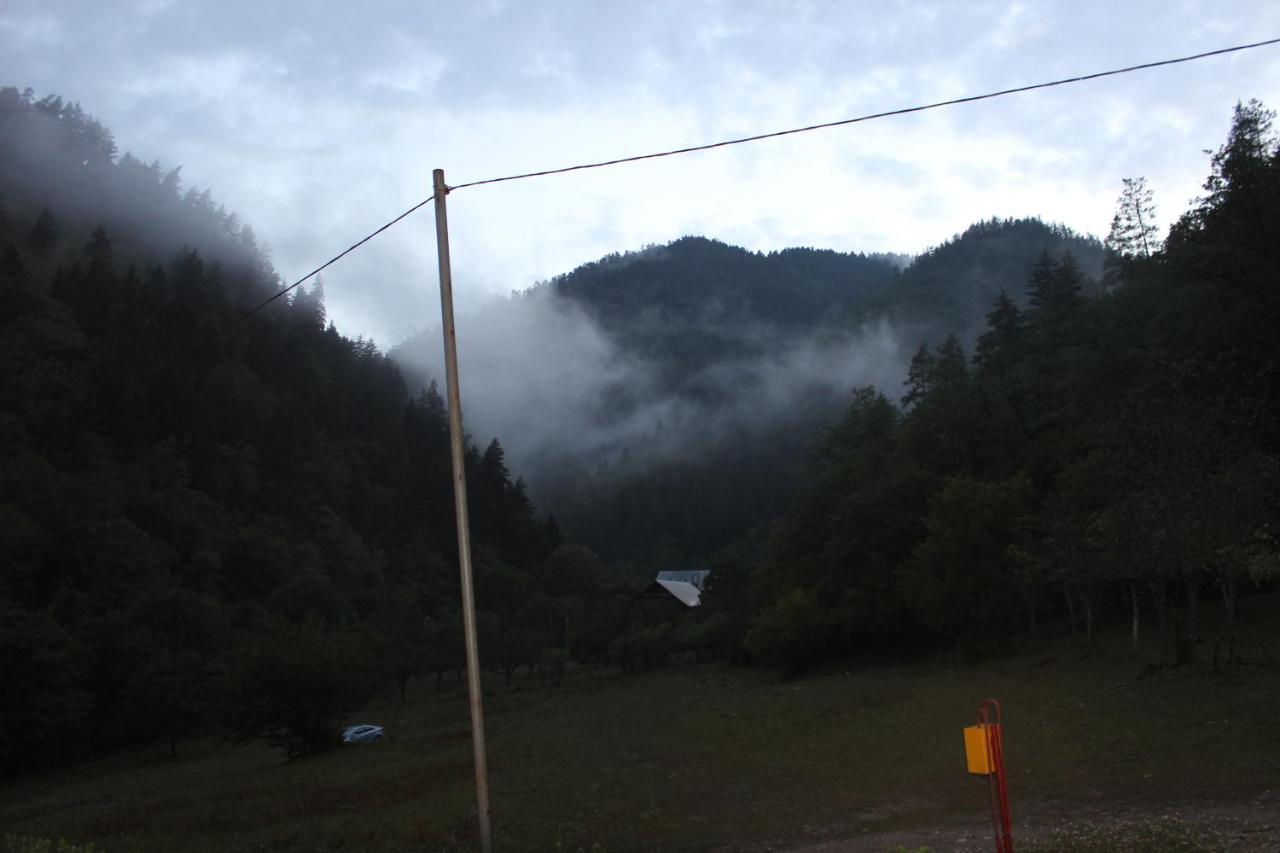 Cozy House In The Forest Borjomi Ngoại thất bức ảnh