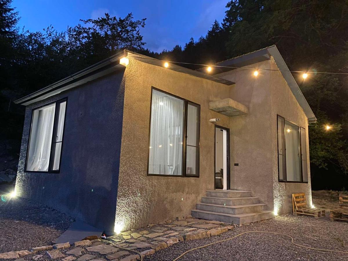 Cozy House In The Forest Borjomi Ngoại thất bức ảnh