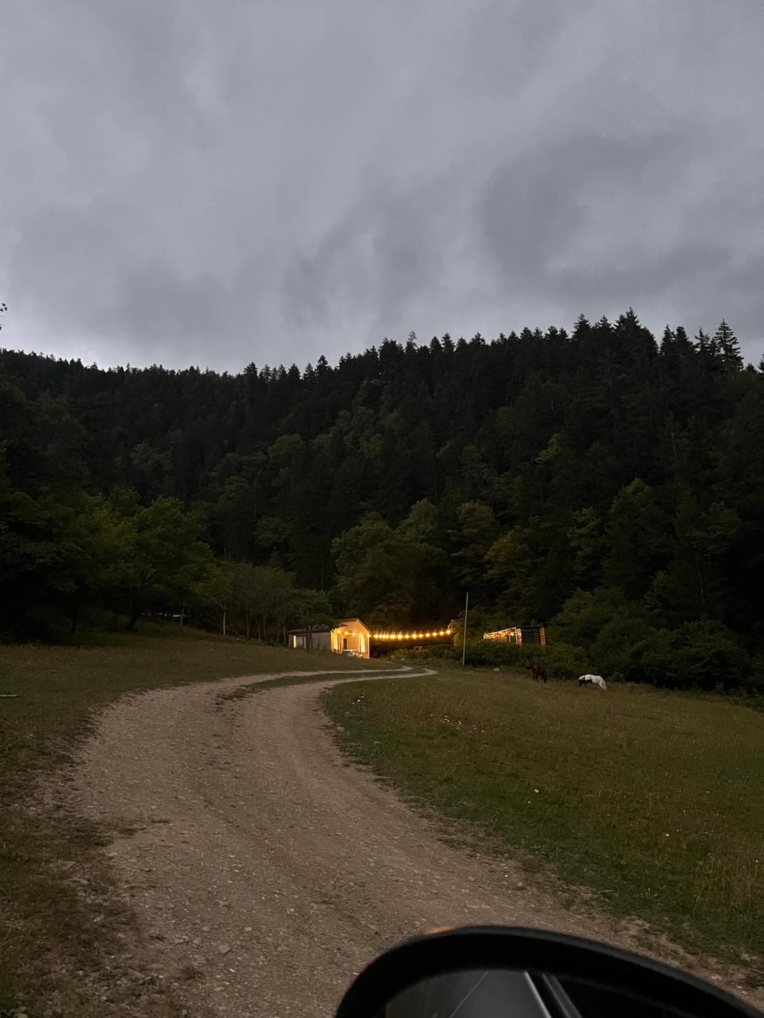 Cozy House In The Forest Borjomi Ngoại thất bức ảnh