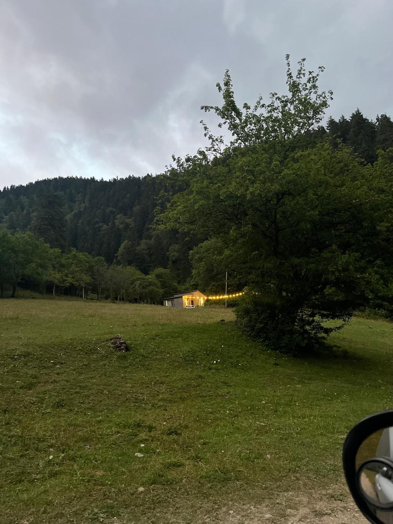 Cozy House In The Forest Borjomi Ngoại thất bức ảnh