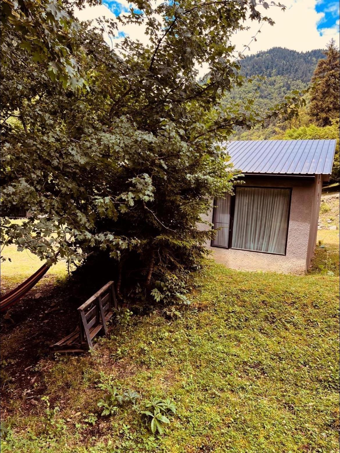 Cozy House In The Forest Borjomi Ngoại thất bức ảnh